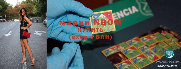 прущие грибы Алзамай