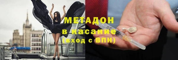 прущие грибы Алзамай