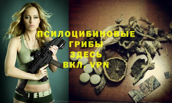 гидропоника Нязепетровск