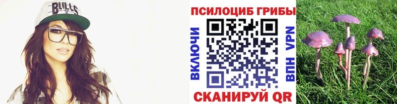 Псилоцибиновые грибы прущие грибы  где можно купить наркотик  Усть-Лабинск 