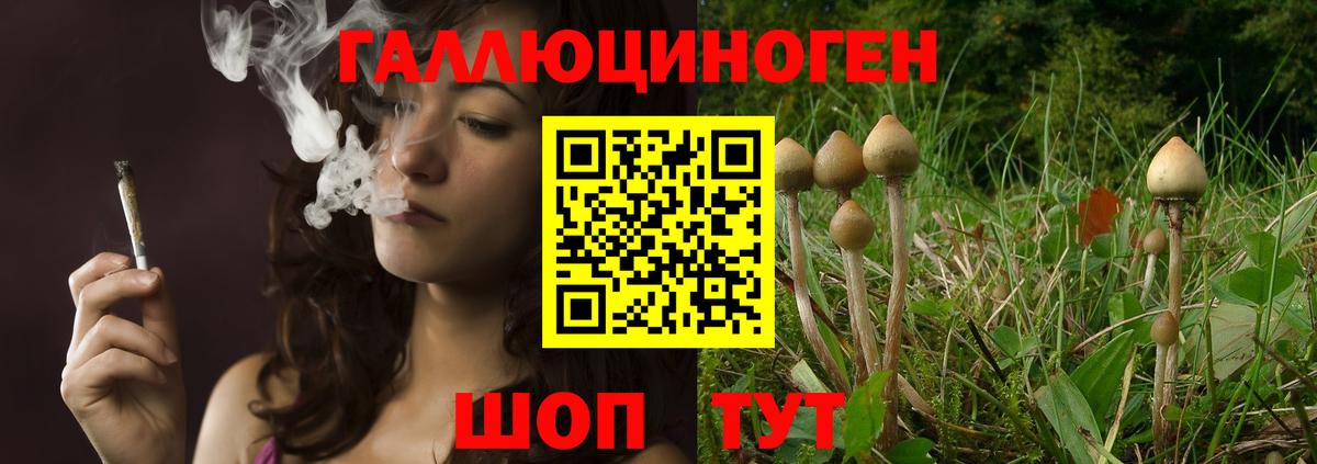 Псилоцибиновые грибы мухоморы Усть-Лабинск